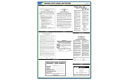 Nevada State Poster Kit